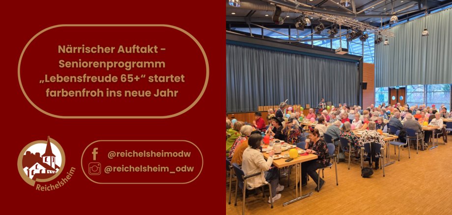 Närrischer Auftakt - Seniorenprogramm „Lebensfreude 65+“ startet farbenfroh ins neue Jahr Die linke Spalte zeigt auf einem weinroten Hintergrund goldene Schrift in einem ovalen Rahmen. Der Text lautet: "Närrischer Auftakt – Seniorenprogramm „Lebensfreude 65+“ startet farbenfroh ins neue Jahr". Darunter befindet sich das goldene Logo von Reichelsheim, das eine stilisierte Kirche zeigt, umgeben vom Schriftzug "Reichelsheim". Rechts daneben sind Social-Media-Handles aufgeführt: ein Facebook-Logo mit "@reichelsheimodw" und ein Instagram-Logo mit "@reichelsheim_odw". Die rechte Spalte ist ein Foto, das eine große, gut besuchte Veranstaltungshalle zeigt. Zahlreiche Senioren und Seniorinnen sitzen an hellen Holztischen auf blauen Stühlen. Die Tische sind mit bunten Luftballons und Kaffeegeschirr dekoriert. Viele der Anwesenden tragen festliche Kleidung, einige mit Hüten, Faschingsaccessoires oder bunten Tüchern, was auf eine Karnevals- oder Faschingsfeier hindeutet. Im Hintergrund sind hohe hellblaue Vorhänge, große Fenster und Bühnentechnik zu sehen. Auf einer kleinen Bühne im hinteren Bereich spielt eine Person Akkordeon, während eine andere Person in einem auffälligen Kostüm (graue Perücke, Hut) vorne im Raum steht. Die Atmosphäre wirkt fröhlich und gesellig.