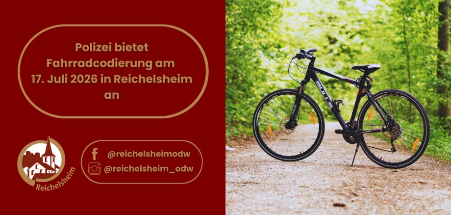 Schwarzes Trekkingrad steht mit Ständer auf einem kiesigen Waldweg; grünes Blätterdach, weiches Licht. Links Textfeld zur Fahrradcodierung.