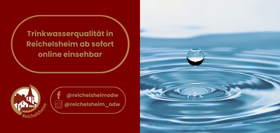 Zweigeteilte Übersicht. Auf der linken Seite ist der Titel des Artikels zu lesen und ein Hinweis auf die Social Media Kanäle der Gemeinde Reichelsheim zu sehen. Auf der rechten Seite ist ein zum Artikel passendes Bild platziert.