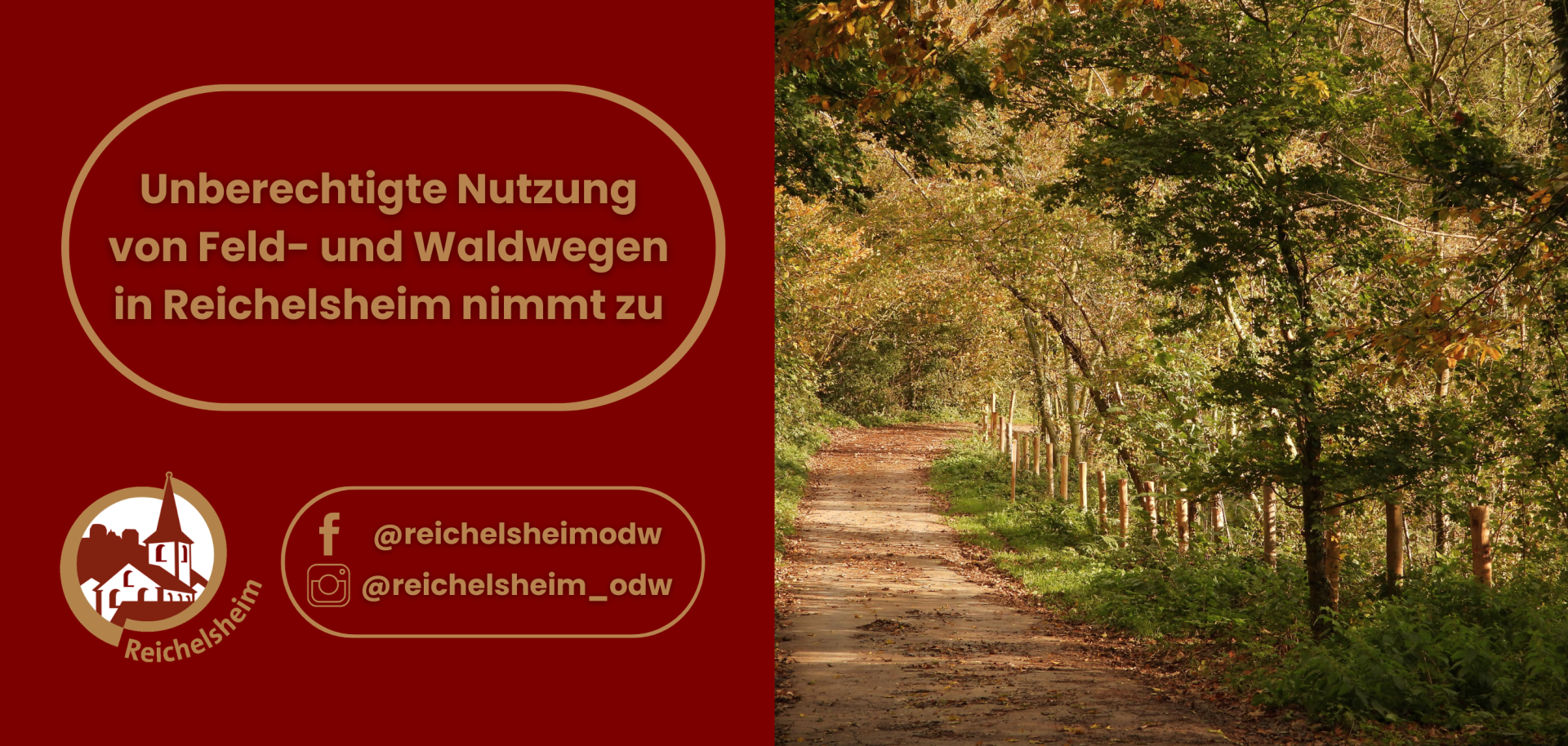 Unberechtigte Nutzung von Feld- und Waldwegen in Reichelsheim nimmt zu Grafik mit Text: „Unberechtigte Nutzung von Feld- und Waldwegen in Reichelsheim nimmt zu“. Daneben herbstlicher Waldweg mit Laub und Zaun.