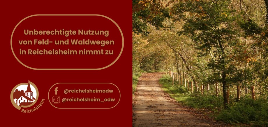 Unberechtigte Nutzung von Feld- und Waldwegen in Reichelsheim nimmt zu Grafik mit Text: „Unberechtigte Nutzung von Feld- und Waldwegen in Reichelsheim nimmt zu“. Daneben herbstlicher Waldweg mit Laub und Zaun.