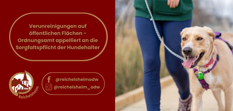 Grafik mit Textaufruf: „Verunreinigungen auf öffentlichen Flächen – Ordnungsamt appelliert an die Sorgfaltspflicht der Hundehalter“, daneben Frau führt Hund.