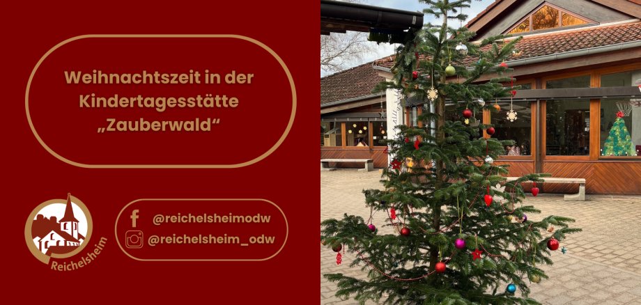 Weihnachtszeit in der Kindertagesstätte „Zauberwald“ Grafik mit einem Foto und Text. Rechts zeigt das Foto einen festlich geschmückten Weihnachtsbaum mit bunten Kugeln und Sternen, der auf einem gepflasterten Hof vor einem Gebäude mit großen Fenstern steht. Hinter den Fenstern sind weitere Weihnachtsdekorationen wie Sterne und ein kleiner Baum zu sehen. Links auf rotem Hintergrund steht in einem goldgerahmten Feld der Text: 'Weihnachtszeit in der Kindertagesstätte „Zauberwald“'. Darunter sind das Logo von Reichelsheim und die Social Media Accounts @reichelsheimodw (für Facebook) und @reichelsheim_odw (für Instagram) abgebildet.