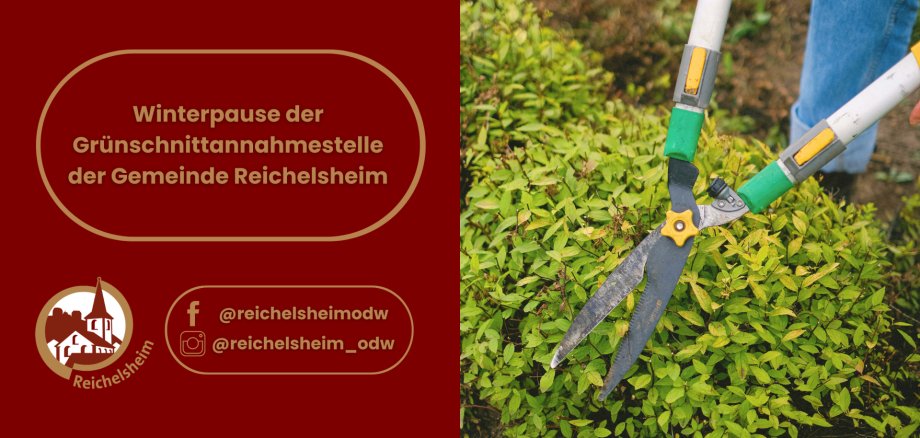Winterpause der Grünschnittannahmestelle der Gemeinde Reichelsheim Ankündigung der Gemeinde Reichelsheim: Winterpause der Grünschnittannahmestelle. Das Bild zeigt eine große Gartenschere, die einen grünen Strauch schneidet, umgeben von Textfeldern mit der Ankündigung, dem Logo der Gemeinde Reichelsheim (weiße Kirchtürme und Häuser in einem Kreis) und den Social-Media-Kanälen @reichelsheimodw (Facebook) und @reichelsheim_odw (Instagram).